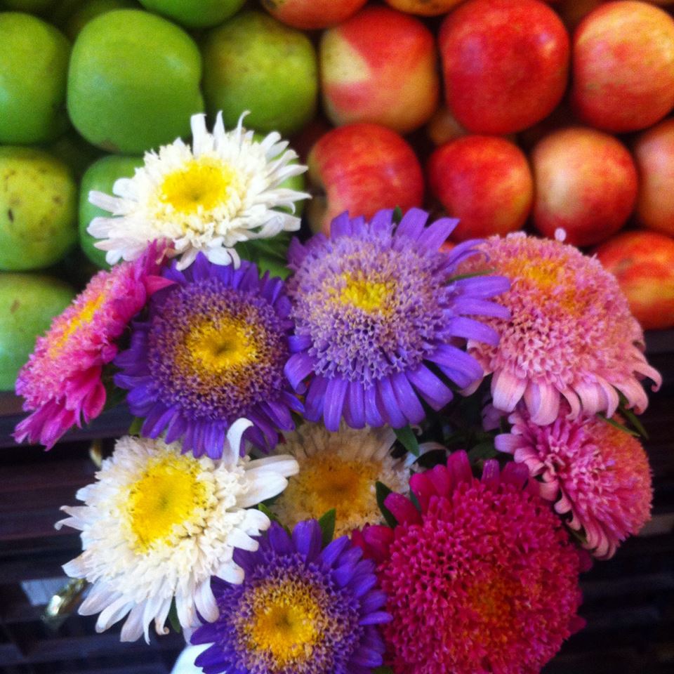 10708021_10203856766553619_1938300813_n