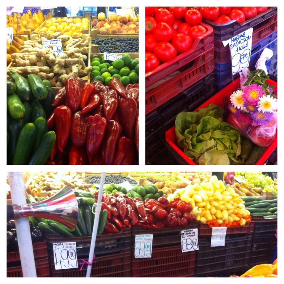 10714663_10203856395504343_325360001_n